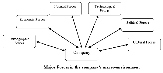 major forces in company macro environment hahuzone
