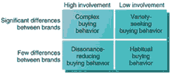 types of buying decision behaviour